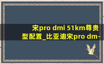 宋pro dmi 51km尊贵型配置_比亚迪宋pro dm-i超级混动